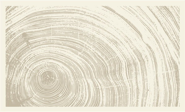 Beige and light brown boho wood texture. Detailed monotone texture of a felled tree trunk or stump. Rough organic tree rings with close up of end grain.