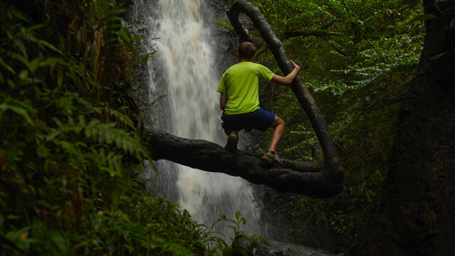 Person on a tree branch enjoying a waterfall in the Hawaiian jungle