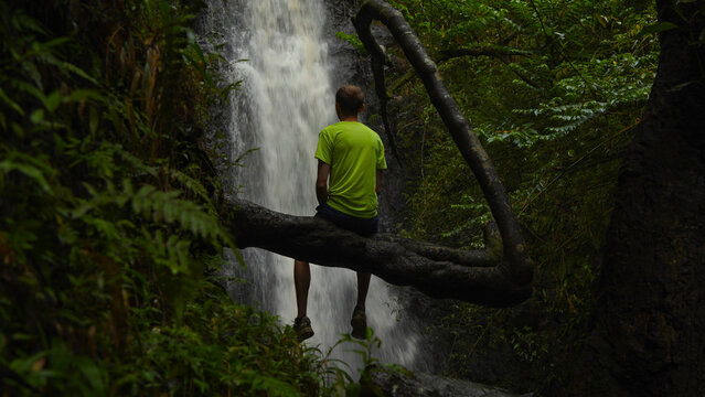 Person sitting on a tree branch enjoying a waterfall in the Hawaiian jungle
