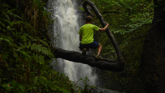 Person on a tree branch enjoying a waterfall in the Hawaiian jungle