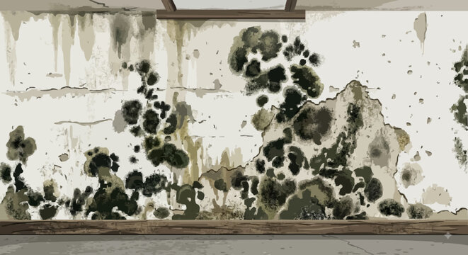 Damaged Room Interior with Severe Black Mold Growth on Peeling Drywall Vector Illustration