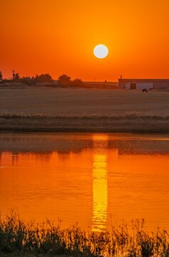  Vertical landscape of a dramatic golden sunrise reflecting over Kabakli Pond with a rural farm building in the background, Tigris Basin, Turkey. Beautiful morning light on the water.