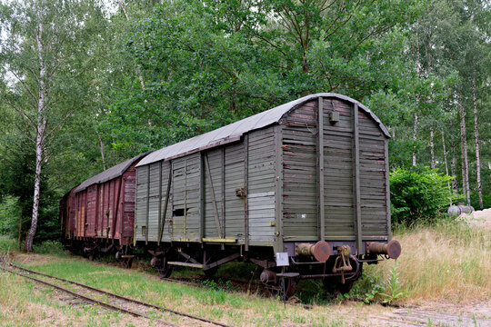 A line of decaying historical wooden train cargo wagons standing abandoned on rails surrounded by green trees and grass.