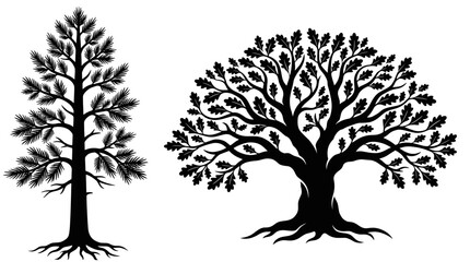 Tall pine needle tree and wide branch oak tree silhouettes vector set isolated on white background for forest landscape graphic design elements © ImranHossain