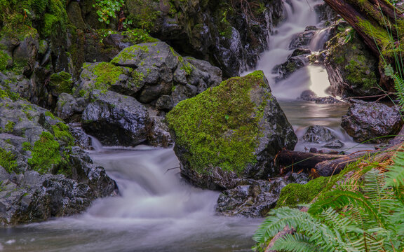 Long exposure of a small waterfall cascades over moss-covered rocks surrounded by lush green foliage. The water appears silky and smooth, creating a calming effect.