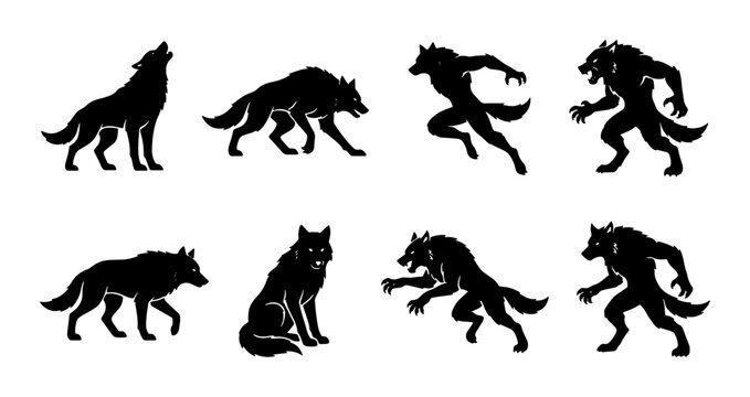 Werewolf Silhouettes Collection: Mythical Creature Poses, Animal Transformation Icons, Dark Fantasy Vector Set