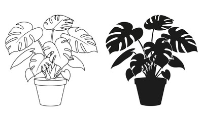 Set of monstera plant illustrations featuring a detailed line art drawing and a solid black silhouette icon design ©  MD BORHAN 
