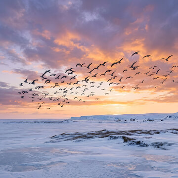 Vol d'oiseaux migrateurs au-dessus d'un paysage enneig&eacute; au coucher du soleil