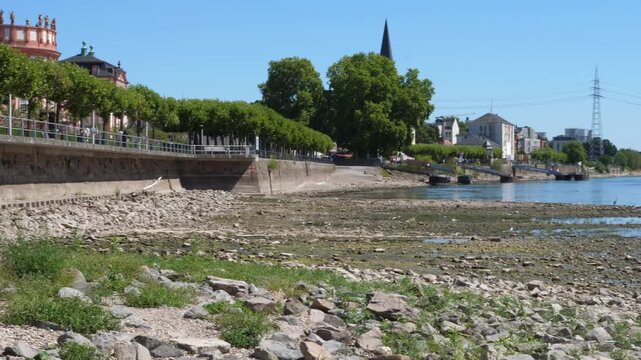 Banks and riverbed of Rhine river in Walluf, Germany. Extraordinary low water level after a long period of drought in 2026.