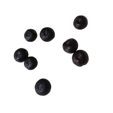 Moras azules