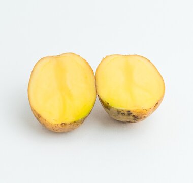 Fresh cut potato halves and whole potatoes isolated on a pure white background
