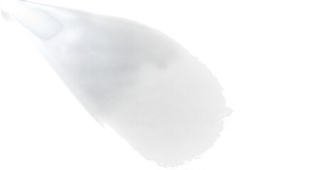 Fototapeta premium Delicate White Flower Petal with Soft Edges during Gentle Morning Light Isolated on transparent background