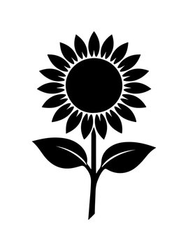 Black and white sunflower illustration with large petals and leaves vector drawing