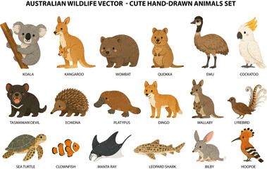 Cute Australian Wildlife Animals – Hand-Drawn Fauna Illustration Collection © Verônica Ferrari