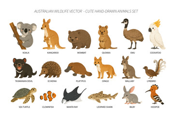 Obraz premium Australian Wildlife Vector Cute Hand Drawn Animals Set