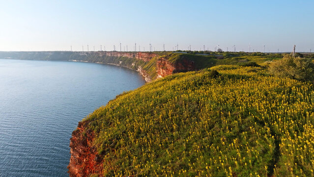 Cape Kaliakra Bulgaria coast blooming nature aerial view yellow flowers Black Sea steep red cliffs panoramic travel background commercial stock photo horizontal