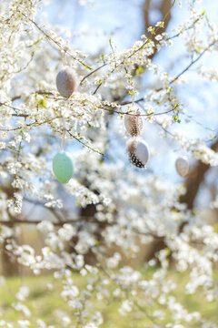 Decorated spring tree branch with hanging handmade Easter eggs and feathers against blooming white blossoms