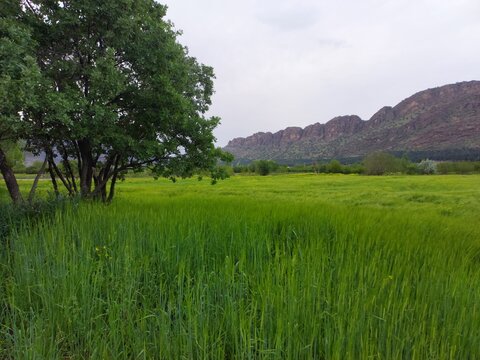 Mountain landscape in Lorestan, Iran