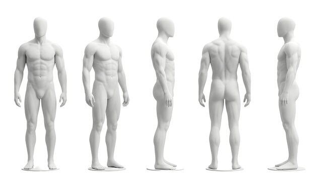 Four white minimalist male mannequins in anatomical pose for medical, fitness, or fashion design use