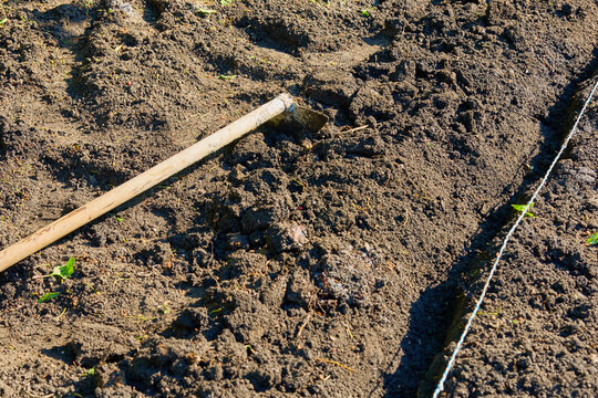 Freshly cultivated garden soil with hoe for planting preparation