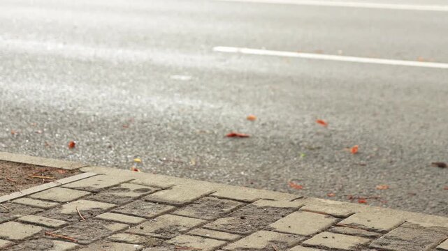 Close-up of scattered autumn leaves on a wet pavement curb, capturing the essence of the season as a car blurs past in the background. rban traffic, fall weather, speed, dynamic transport