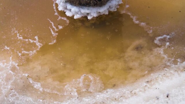 A crust of salt on the surface of a hypersalted lake, like ice. Ice salt current of Pink water due to bacterias. Salt growths as decorations