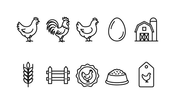 Farm Chicken Symbols, line icon set featuring chicken, rooster, hen, egg, barn, wheat, farm fence, poultry badge, feeding bowl, menu label, covering poultry farming, rural life, farm food,