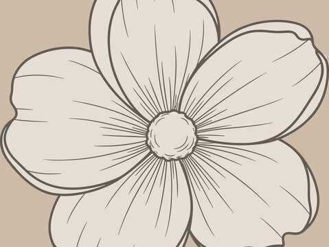 A line drawing of a flower with five petals, each having prominent veins radiating from a central textured core. The petals are large and rounded, outlined in dark brown with a beige interior. The bac