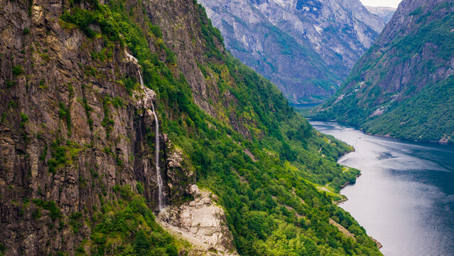 Aerial view of a waterfall cascading down steep rocky cliffs into the deep blue waters of the Naeroyfjord surrounded by lush green forests in Gudvangen, Vestland, Norway.