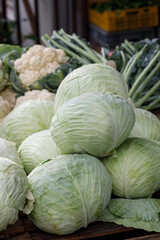 Fototapeta premium Fresh heads of Brassica oleracea var. capitata displayed vertically at an outdoor local farmers market during the day, cauliflower and greenery in background, Warsaw, Poland.