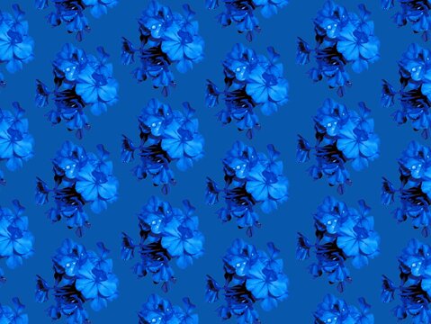 A seamless pattern featuring clusters of vivid blue flowers against a matching blue background. The flowers are arranged in a regular grid pattern, creating a symmetrical and visually striking design.