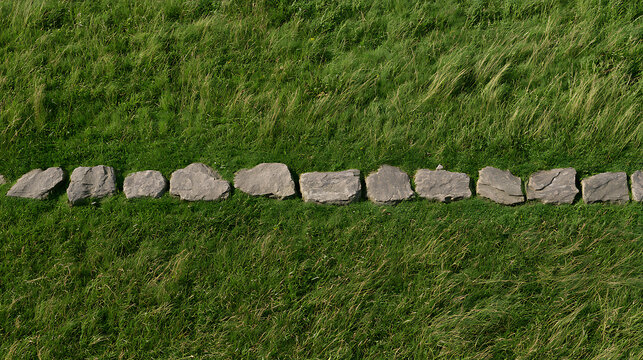 Natural stone pathway line across vibrant green grass texture, a serene outdoor setting with irregular rocks forming a clear boundary or garden accent