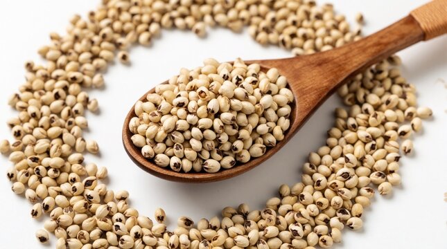 Job tears seeds fill wooden spoon. Seeds spill onto white surface forming circle pattern. Natural grain used in Asian cuisine, traditional medicine, healthy diet.