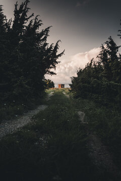 View of a dirt path leading through dense juniper trees towards a small wooden structure on Vormsi, Laane County, Estonia.