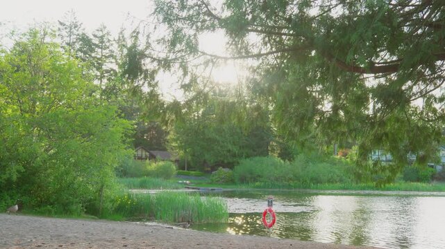 Scenic lake beach framed by overhanging tree branches with a lifebuoy ring on the shore
