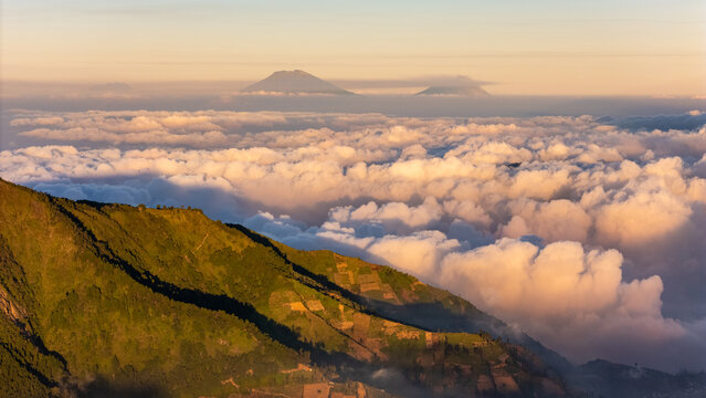 Aerial view of the Dieng plateau landscape featuring terraced agricultural fields on green mountain slopes above a sea of clouds during golden hour in Kejajar, Central Java, Indonesia.