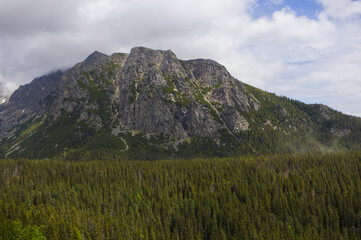 High Tatras massive mountain peak, dense coniferous pine forest (Picea abies) foreground, dramatic cloudy sky, wilderness Slovakia landscape © TomKorcak