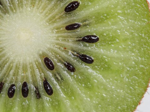 Macro close up of fresh green kiwi fruit slice showing seeds and juicy texture