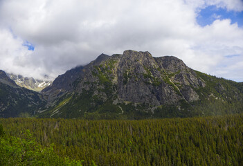 Obraz premium Scenic alpine landscape with lush green forest (Picea abies) and rugged rocky mountain ridge under cloudy sky in High Tatras, Slovakia. Beautiful summer mountain landscape background wallpaper 
