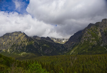 Fototapeta premium Scenic alpine landscape with lush green forest (Picea abies) and rugged rocky mountain ridge under cloudy sky in High Tatras, Slovakia. Beautiful summer mountain landscape background wallpaper 