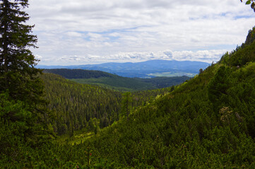 Obraz premium Scenic aerial view of lush green mountain valley and spruce forest (Picea abies) in High Tatras, Slovakia with distant mountain range.