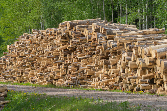 stack of logs