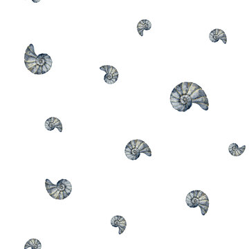 Nautilus seamless watercolor pattern isolated on background. Minimal ocean repeat with spiral seashore for fabric, wallpaper, nursery textiles and wrapping paper. Backdrop in pastel blue colors.