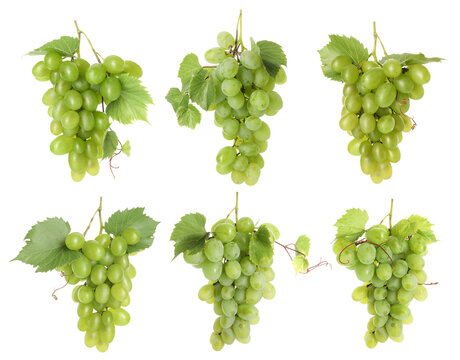Fresh grapes. Many clusters isolated on white, set