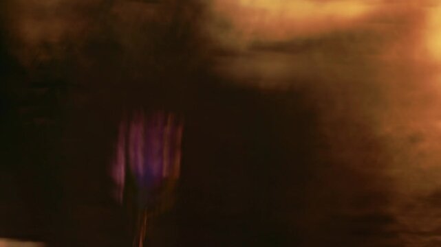 Reflection of flower in water at sunset for orange natural background 