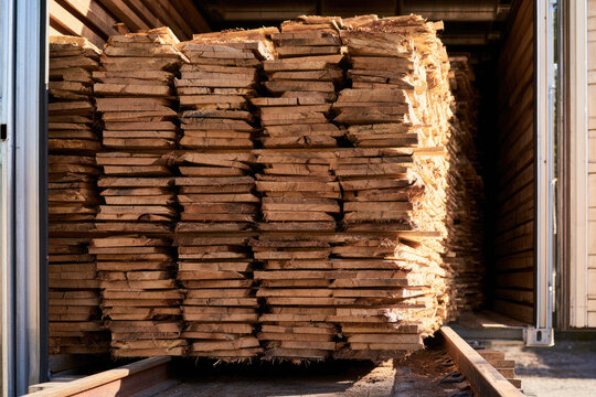 Timber lumber sawmill kiln drying wood stack plank dried board stack inside industrial kiln chamber with warm sunlight, metal track, rough bark edge, sustainable forestry, quality control