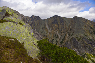 Fototapeta premium Rocky ridge with green lichen (Rhizocarpon geographicum) and dwarf pine overlooking rugged peaks in the High Tatras.