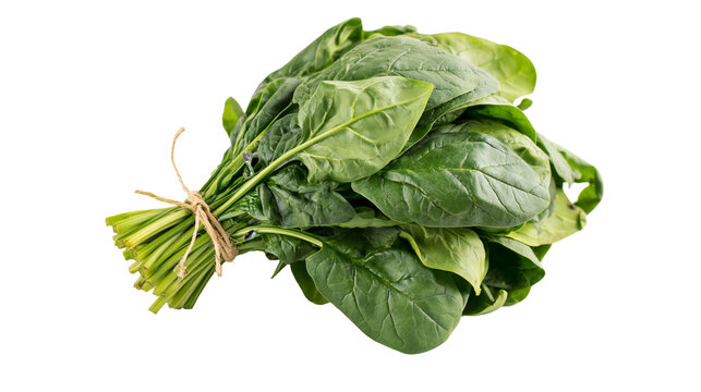 Fresh green spinach leaves tied with twine, isolated on transparent background