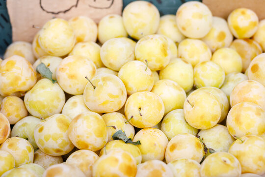 Fresh, ripe yellow mirabelle plums (Prunus domestica) at the local farmers market in Warsaw, Poland.
