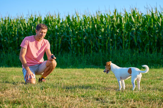 Man holding ball while small terrier watches him near cornfield